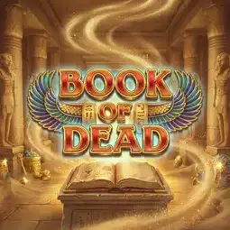 Book of Dead gra w Welle Casino dla graczy z Polski Book of Dead gra w Welle Casino dla graczy z Polski