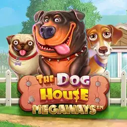 The Dog House Megaways gra w Welle Casino dla graczy z Polski The Dog House Megaways gra w Welle Casino dla graczy z Polski