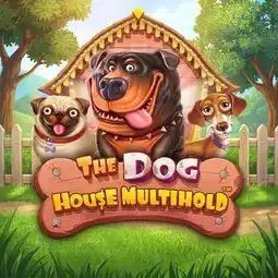 The Dog House Multihold gra w Welle Casino dla graczy z Polski The Dog House Multihold gra w Welle Casino dla graczy z Polski